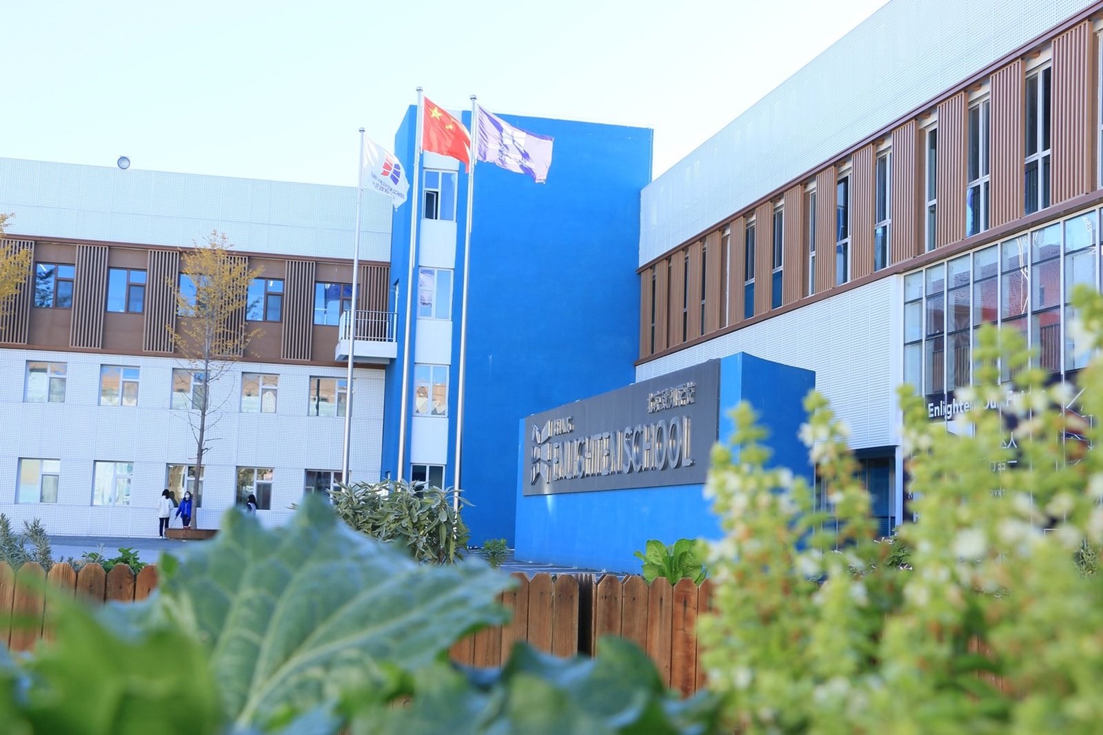 北京市鼎石学校高中国际班招生简章｜IBDP 学费寄宿升学录取