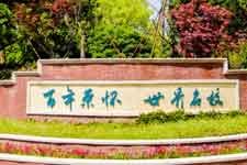 初中部【国际班】