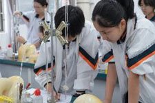 AP国际课程