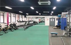 WLSA 上海学校 2026 年招生简章|美高 AP/A-Level 双轨课程 + 藤校升学 + 招生条件 + 学费全解析