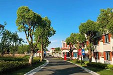 美国高中课程