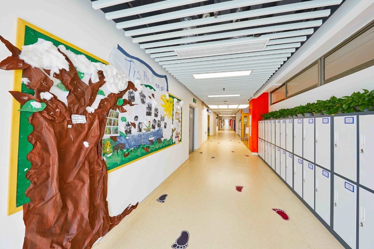 浦东万科学校高中部IBCP艺术课程招生简章