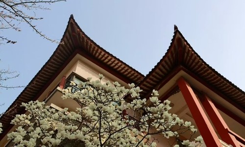 1777375665406168630991.jpg 北京拔萃双语学校