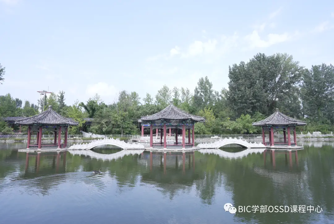 北京市丰台区怡海中学BIC学部OSSD课程中心,欢迎你到来!(图 5)