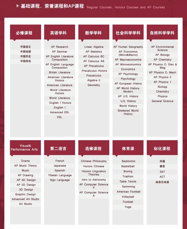 同样是美高课程,汇点开设了29门AP课程,包含商科、自然科学