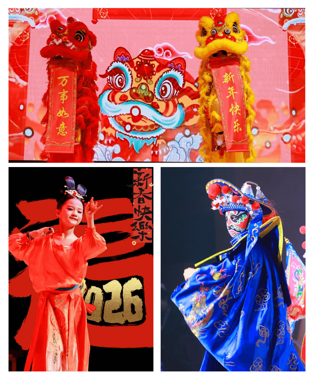 整个中国文化年的高潮，是那场全校共同参与的演出与庆典。（图 7）
