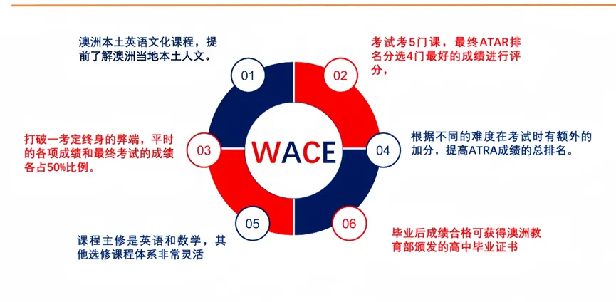双课程体系意味着：孩子不必被单一路径捆绑