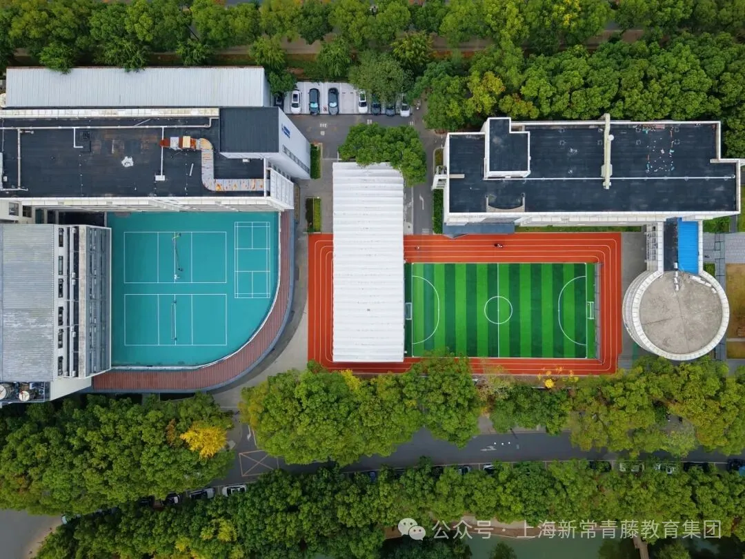 学校从创校至今共有8届毕业生,被世界各地的名校录取(图 3)