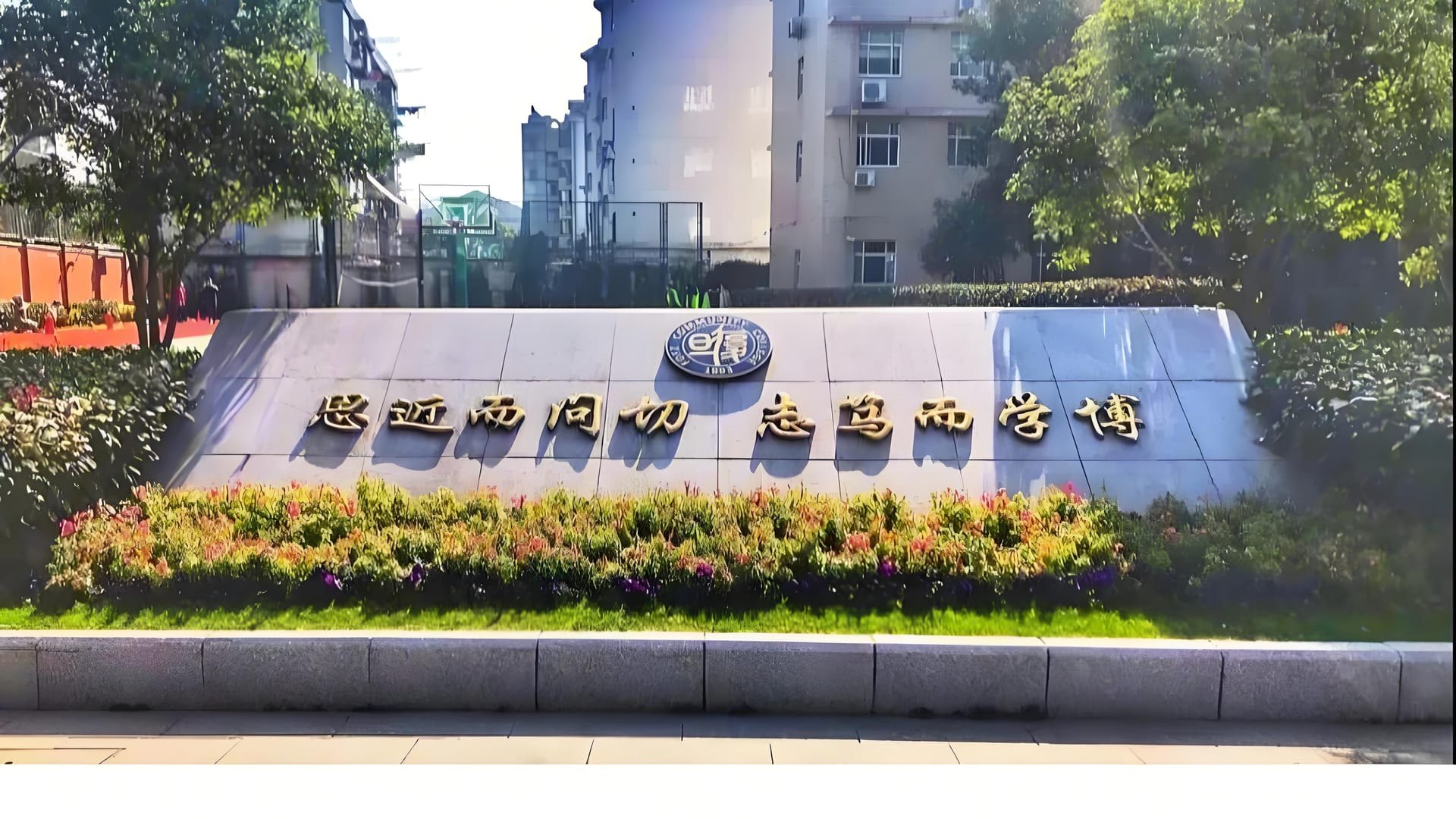 快来瞧上海超棒国际学校的奇妙排名和精彩故事