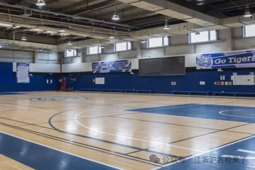 IB及DSE成绩均受全球绝大部分顶尖大学认可，学生凭借相关成绩（图 2）