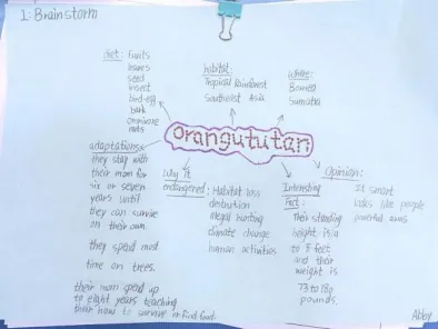 这样一来,老师能全面把握每个孩子的学习进度和个性化指导