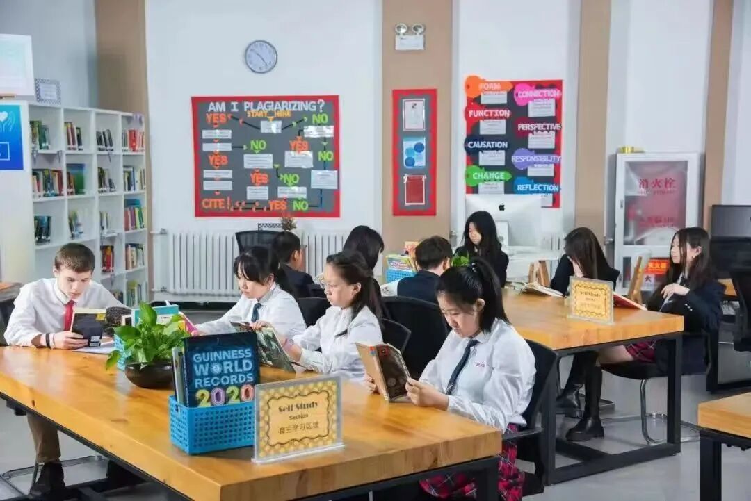 君诚学校IGCSE考试总体A及A*占比常年高达60%以上,其中(图 2)