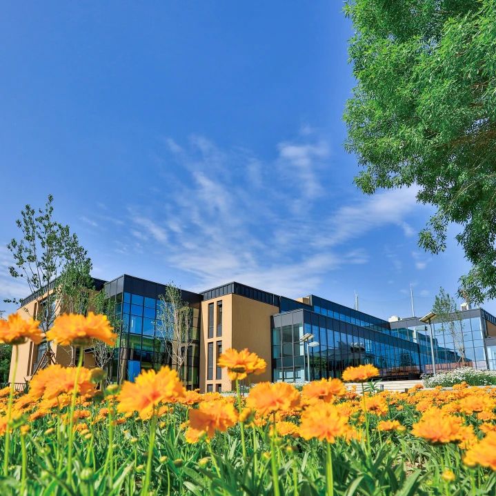 北京海淀凯文学校|一所承载蓑羽鹤精神的学校