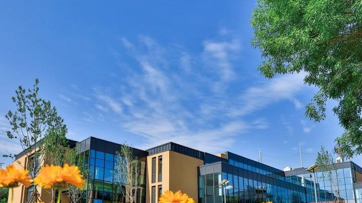 北京海淀凯文学校｜一所承载蓑羽鹤精神的学校