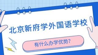 北京新府学外国语学校有什么办学优势?