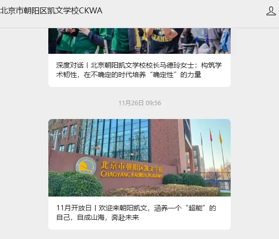 很多国际高中会把春招称之为 0.5项目 (图 2)