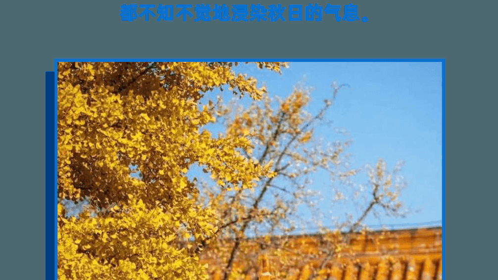 BEAM开放日预告 ︳如果你心怀梦想,正在寻找提供专业教育的国际化音乐学校
