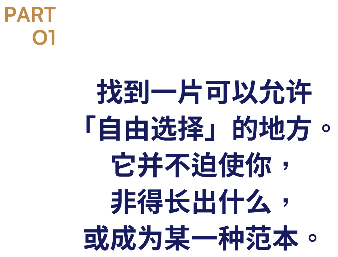 童年时在画作中无意识的的愿望表达 一个人乘坐一辆名为「知识」的飞