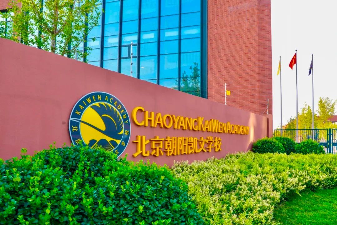朝阳凯文大事记丨那些值得铭记的高光时刻