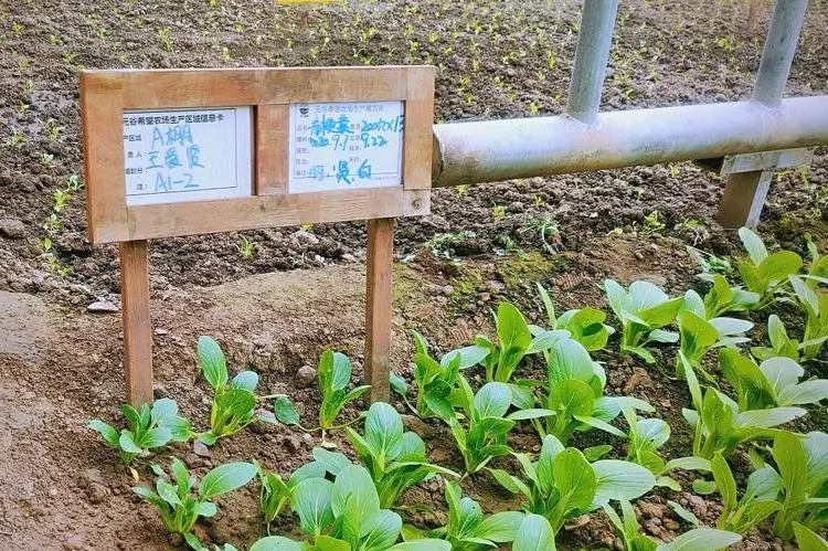 通过自身努力拥有更好的生活。