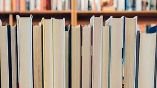 中育贝拉国际教育怎么样?课程、师资与升学情况一览