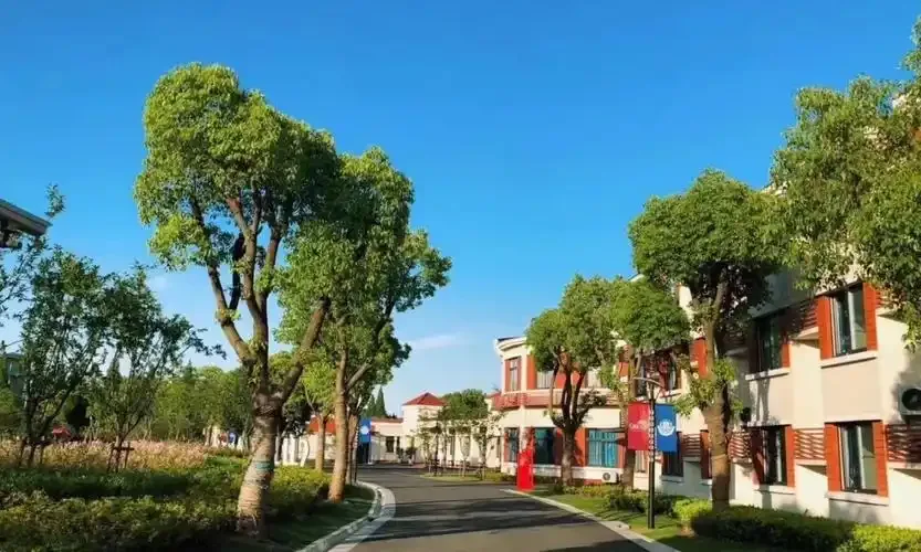 6 月 27 日择校盛会启幕!上海宏润博源高级中学亮相第三十五届上海中招多元升学择校展,解锁双轨升学新路径