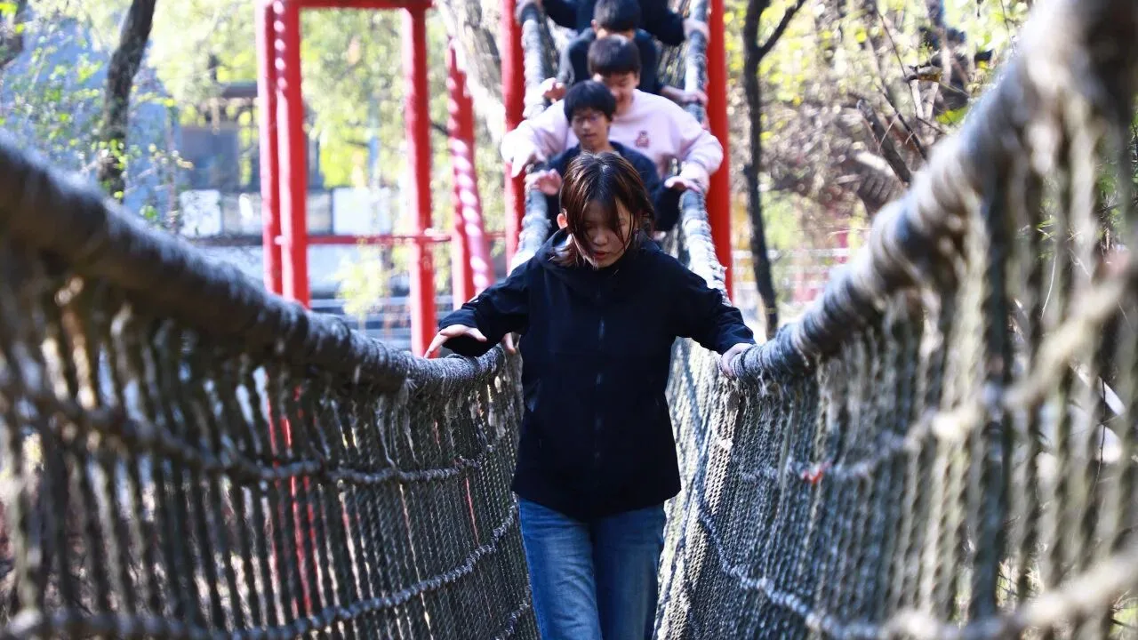 钢丝上的信任，巅峰上的成长——凯博高中部“生存岛”研学纪实