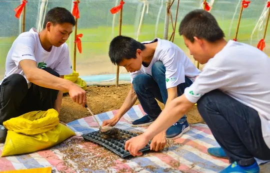 这个问题，像一颗种子，扎进他们心里。