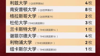 北开ICC2025届毕业生升学报告 | 逐梦世界，硕果满枝
