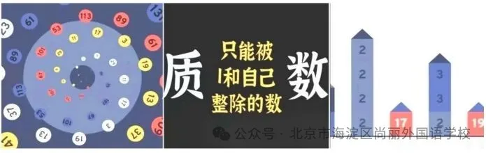 这篇日记以生动的语言和清晰的逻辑