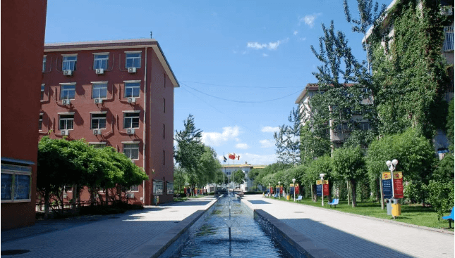北京中加学校