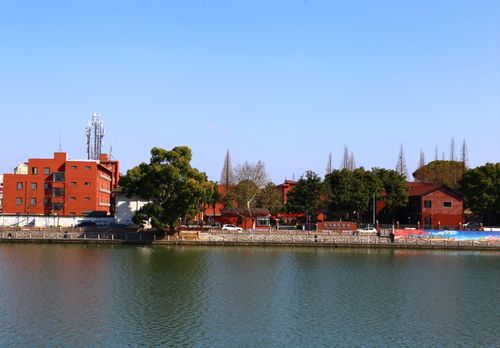 2026龙游凯马国际学校地址在哪?家长实锤爆料+校园趣事 择校不踩坑