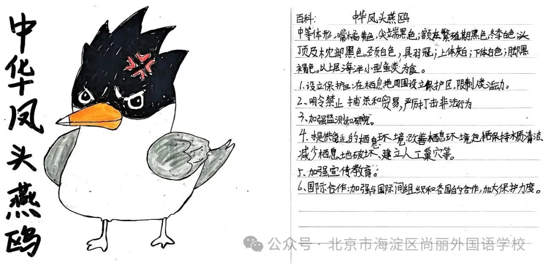 在这些充满童趣与思考的环保手绘里,我们看到了对绿色生活的憧憬: