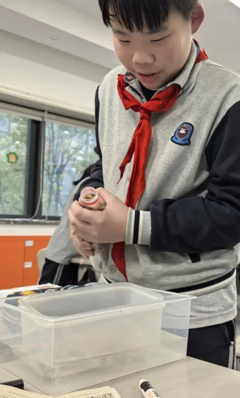 授课老师: 杨周