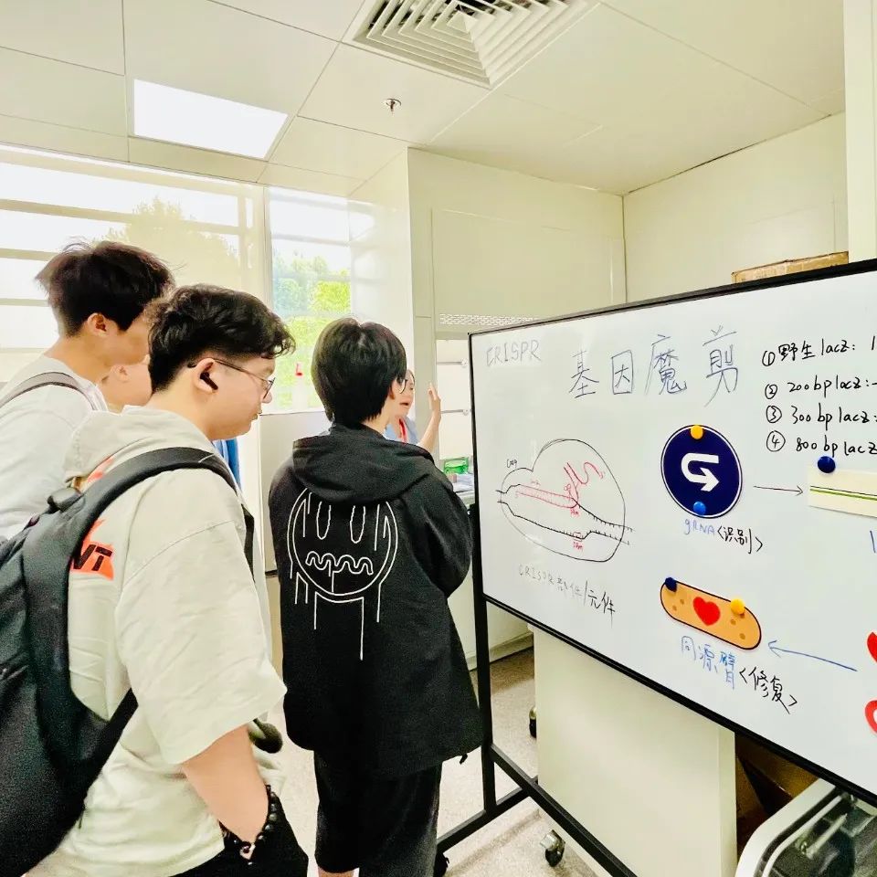 由思楷学术CEO、复旦-MIT联合培养硕士沈灿老师领衔下的BAN