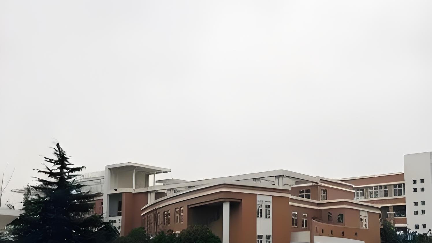 临沂四中国际学校大揭秘