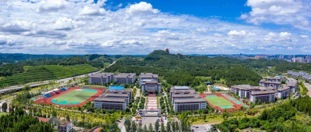 遂宁东辰国际学校官网及综合情况介绍 配图 1