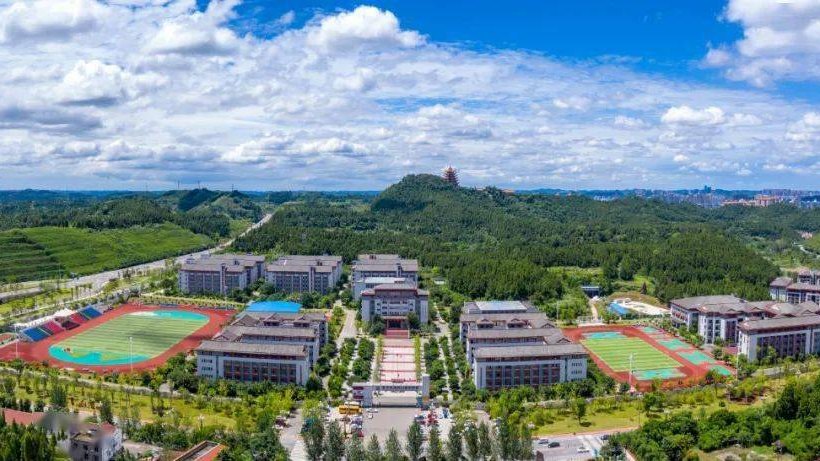 遂宁东辰国际学校官网及综合情况介绍