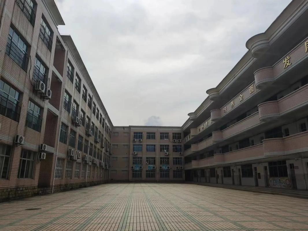 校园里的趣事，大多藏在日常教学和特色活动中