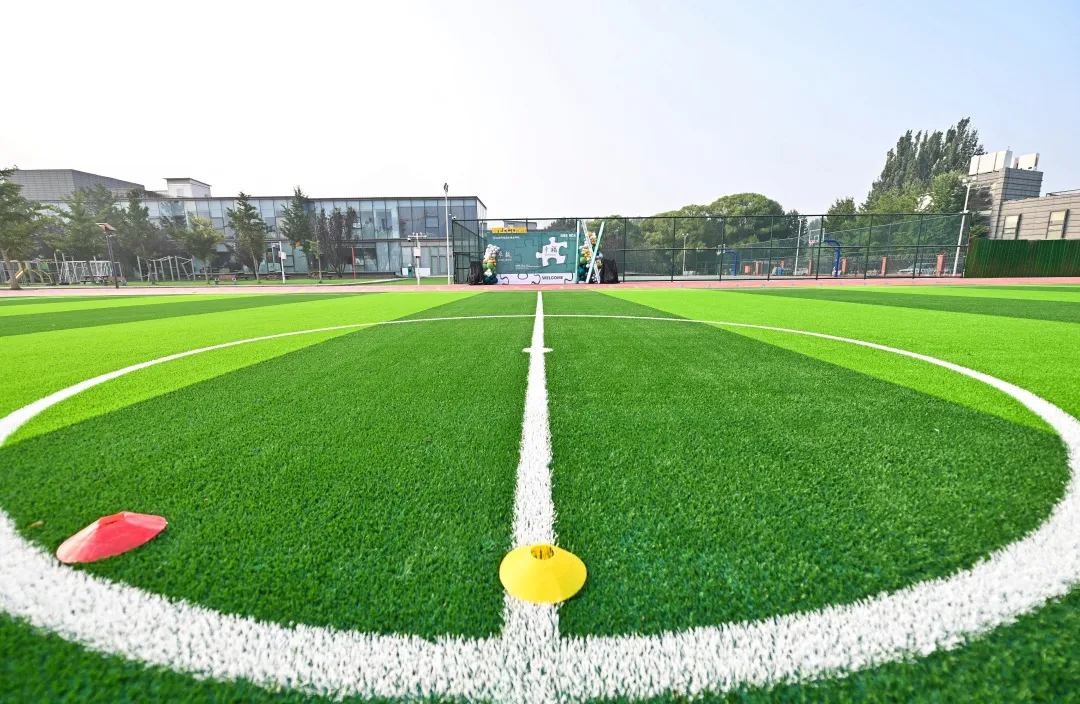 北京青苗学校中日国际高中（海淀校区）面向初二、初三毕业生