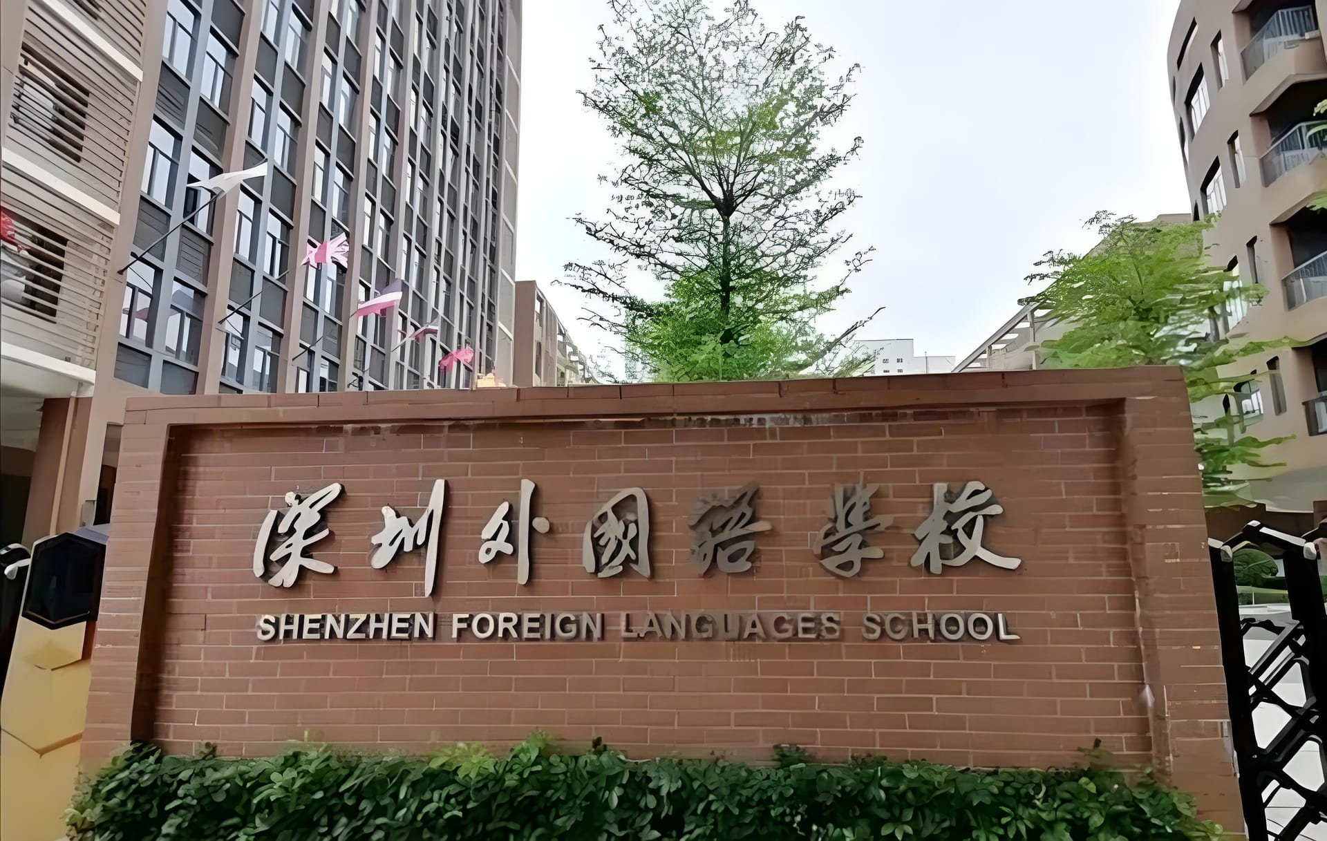 龙岗区国际学校奇妙之旅开启啦