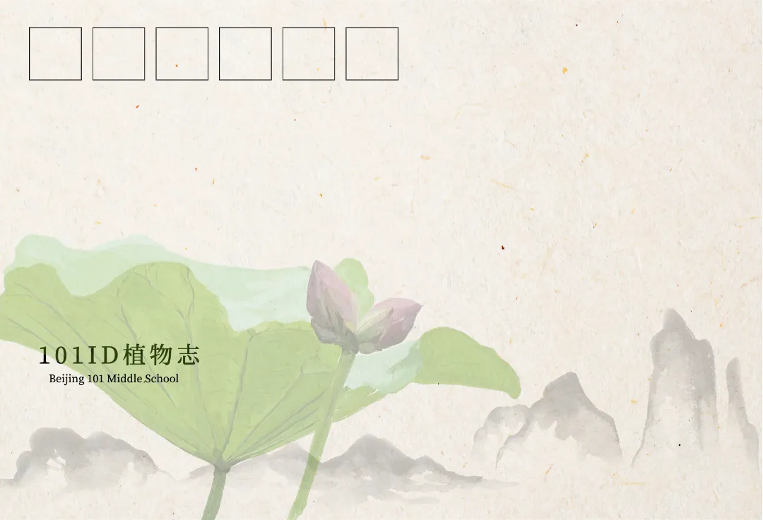 嗨，送你两张明信片（图 4）