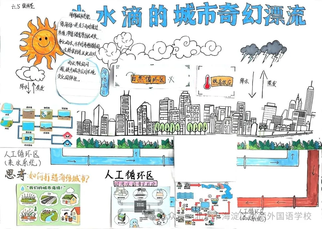 地球小卫士,共护一个家(图 5)