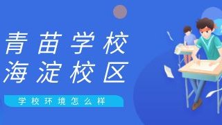 青苗学校海淀校区学校环境怎么样?