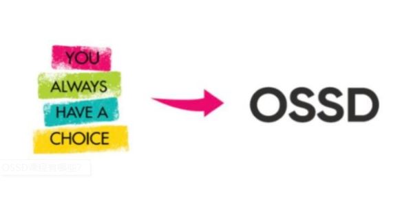 过程式评估+非应试教育,用“不卷”的OSSD课程申请世界名校!