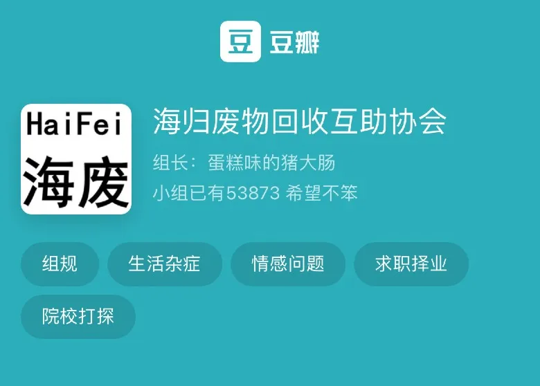 在豆瓣上,一个名为 海归废物回收互助协会 的小组悄然兴起