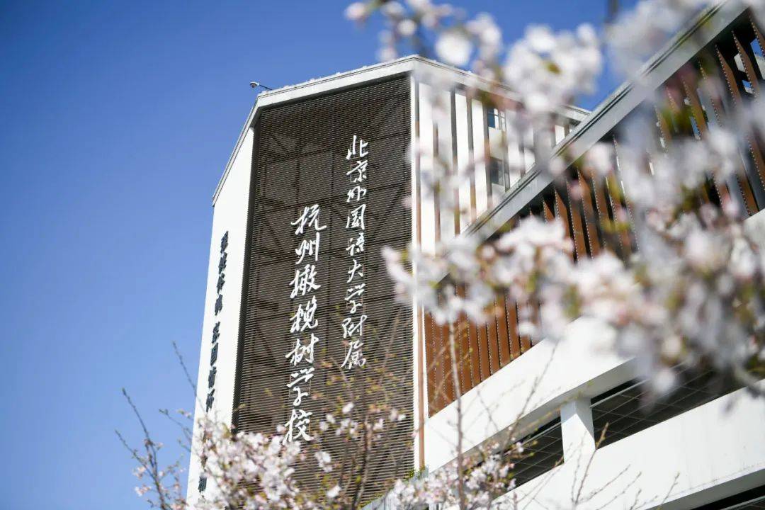杭州橄榄树学校：高端民办国际学校的璀璨之星