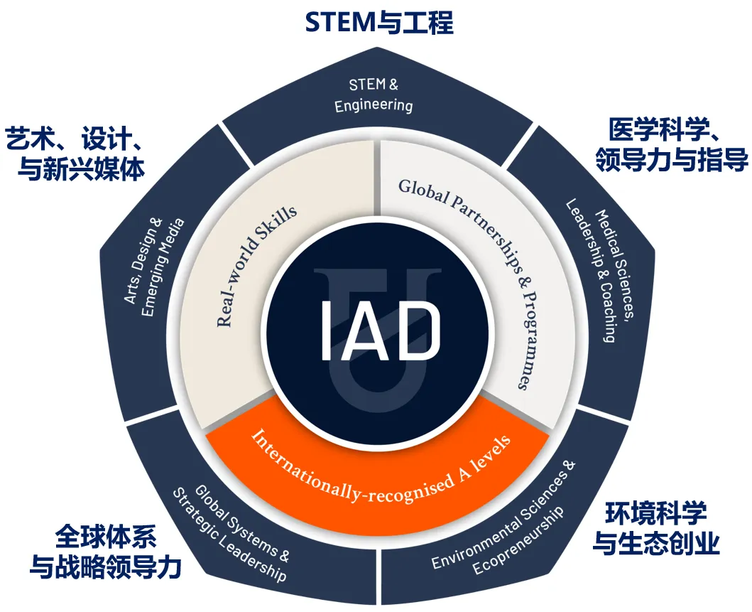 该项目目前设有五大发展路径，每一条路径都融合了学术课程