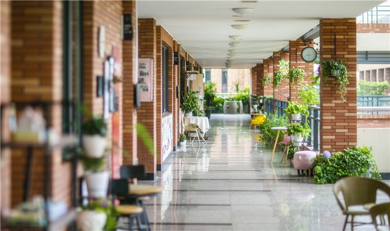 海亮外语中学 2026 年招生简章 招生对象 / 课程体系 / 升学成绩 / 学费全解析
