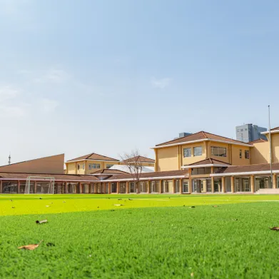 对学生而言，高密度的师生配比意味着：